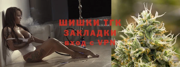 шишки Арсеньев