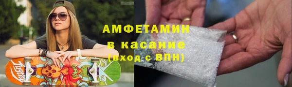 шишки Арсеньев