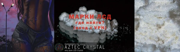 стаф Аркадак