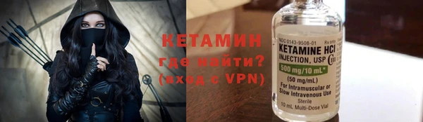стаф Аркадак