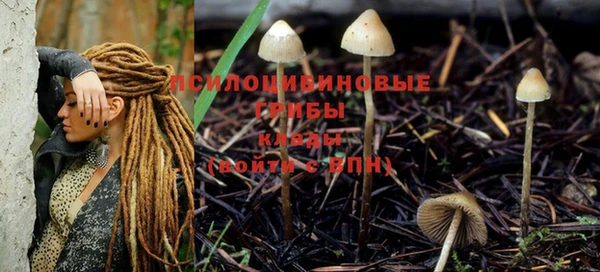 молекула духа Армянск