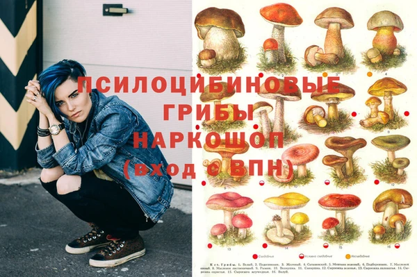 стафф Алзамай