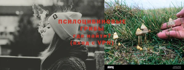 молекула духа Армянск