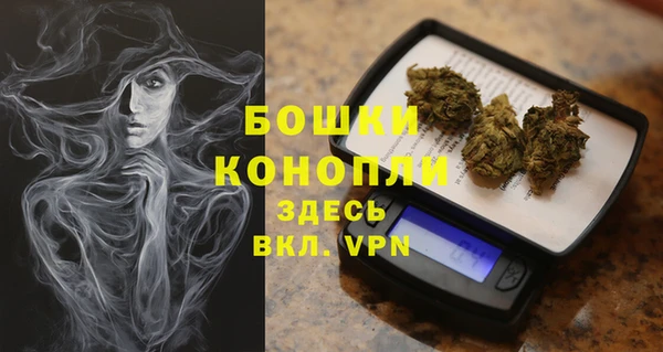 шишки Арсеньев