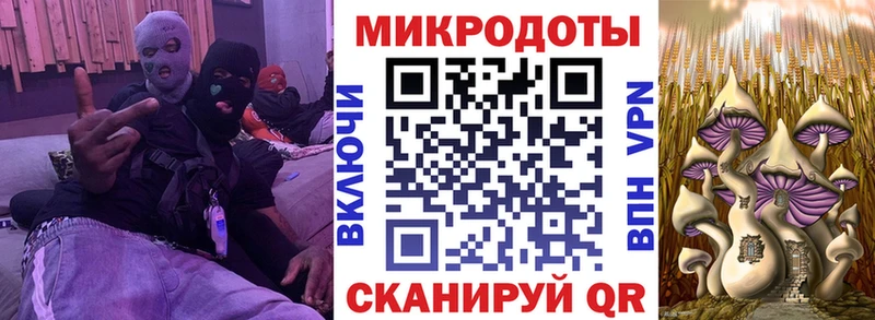 Псилоцибиновые грибы Psilocybine cubensis  мега ссылка  площадка какой сайт  Могоча 